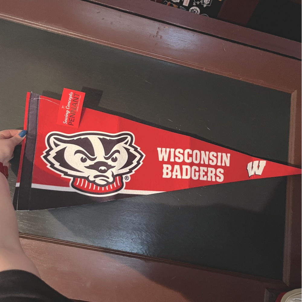 🆕Wisconsin Badgers Wall Pendant